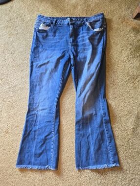 Kancan Plus Size Jeans
